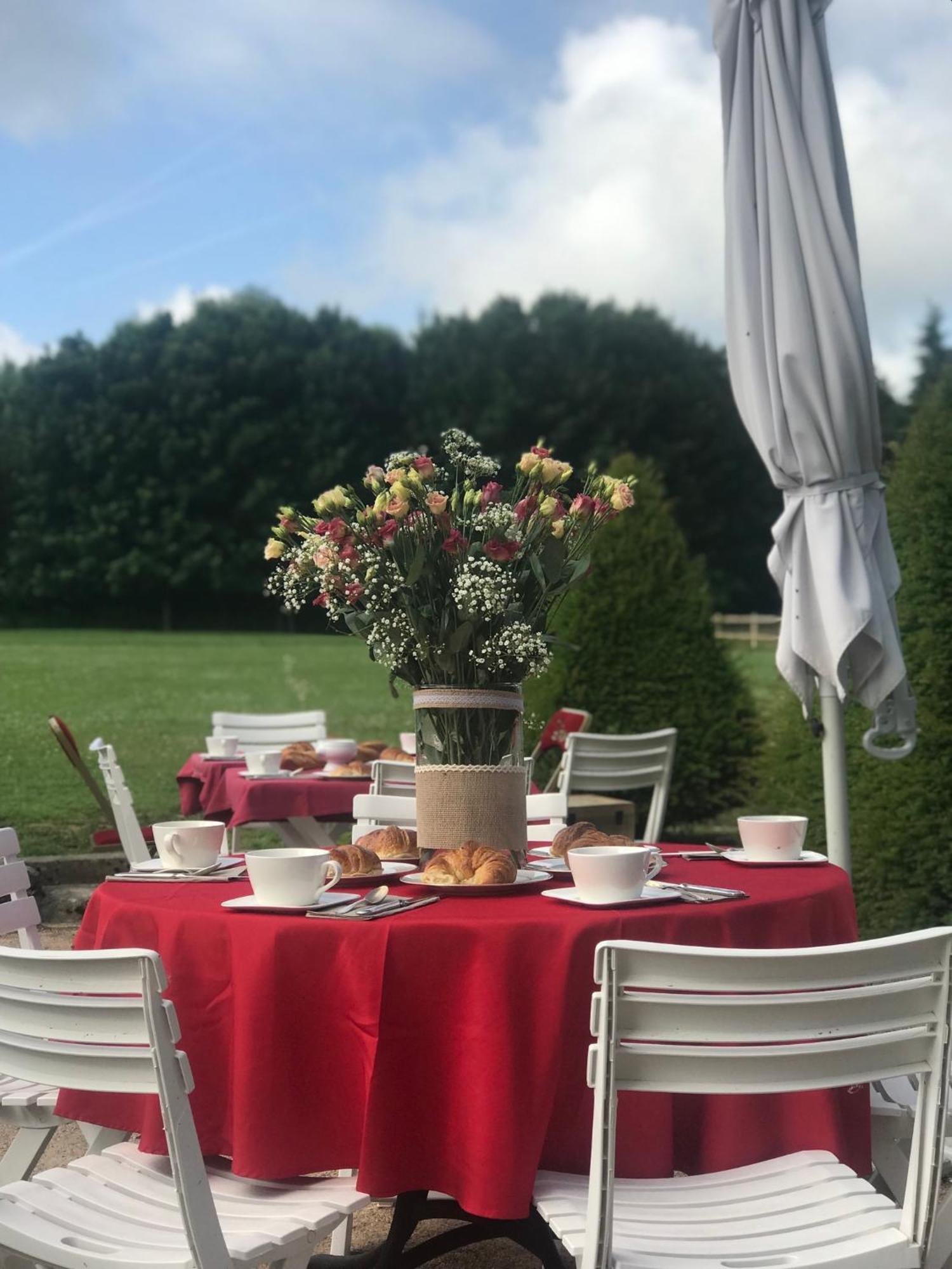 Domaine De L'Orangerie Du Chateau De Motteville Chambres D'Hotes Eksteriør bilde